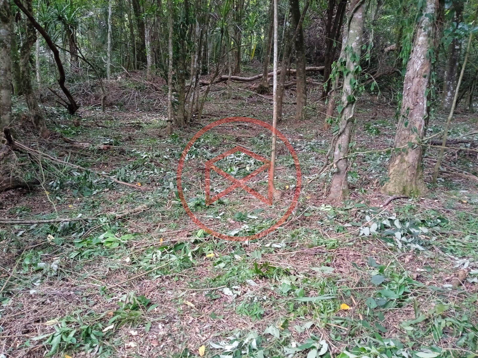 Lote próximo a represa de Ibiúna