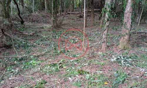 Lote próximo a represa de Ibiúna