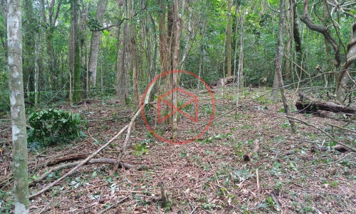 Lote próximo a represa de Ibiúna