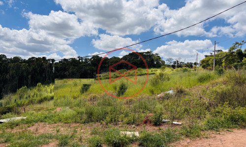 Terreno de 44.000 mts² na beira do asfalto